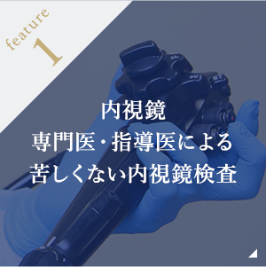 内視鏡 専門医・指導医による苦しくない内視鏡検査