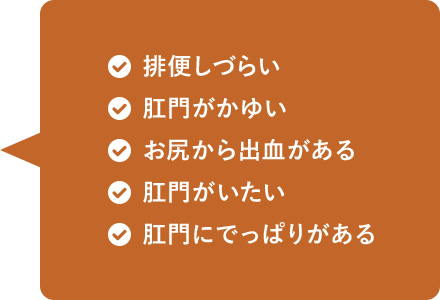 排便しづらい/肛門がかゆい/お尻から出血がある/肛門がいたい/肛門にでっぱりがある