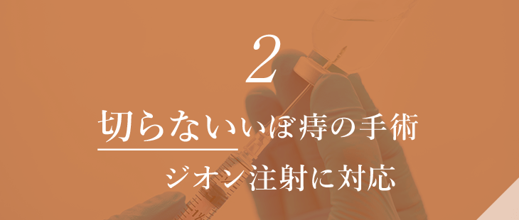 切らないいぼ痔の手術～ジオン注射に対応