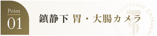 胃・大腸カメラ同日検査